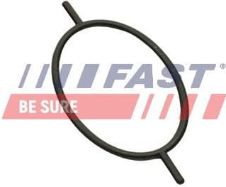 Seal Ring, radiator cap bolt FT49923 - image 2