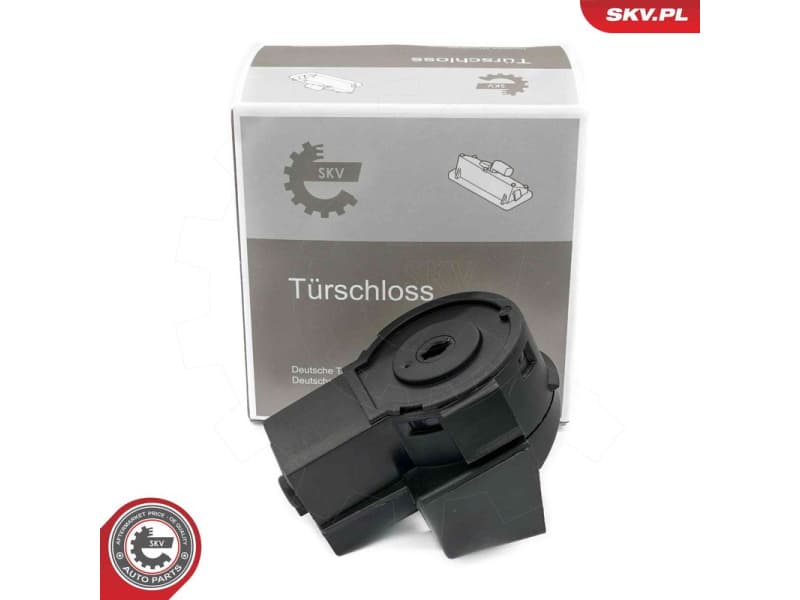 Ignition Switch 65SKV033