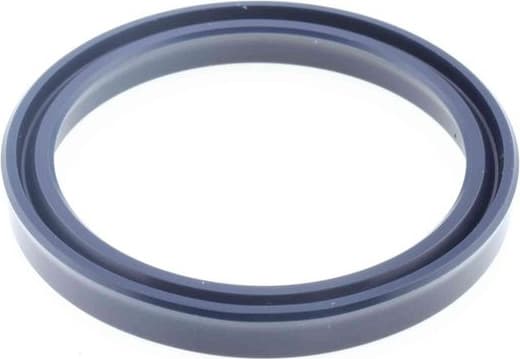 Seal Ring 01034118B