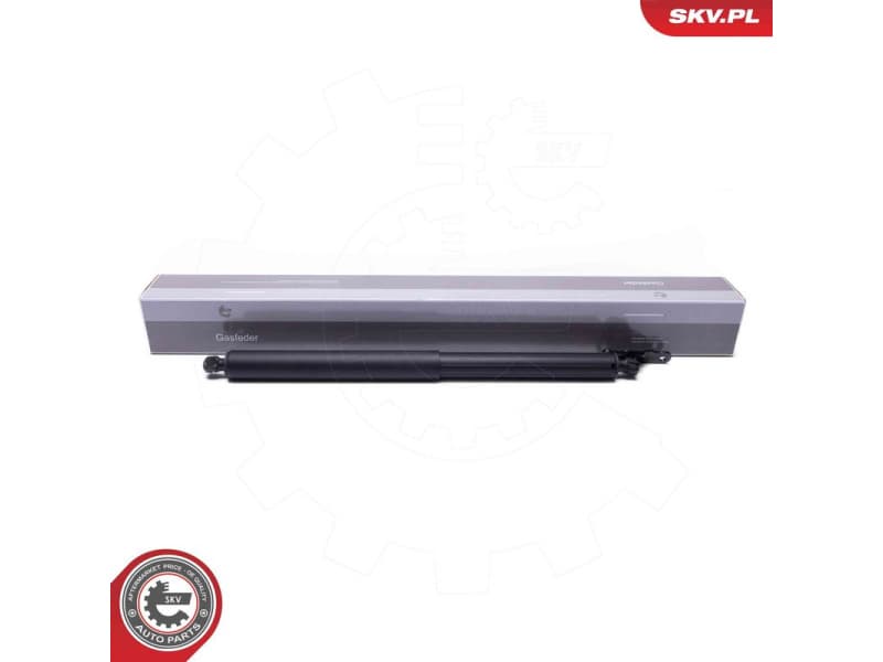 Electric Motor, tailgate 52SKV962