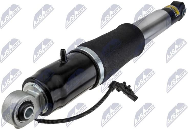Air Suspension Strut A-CH-010