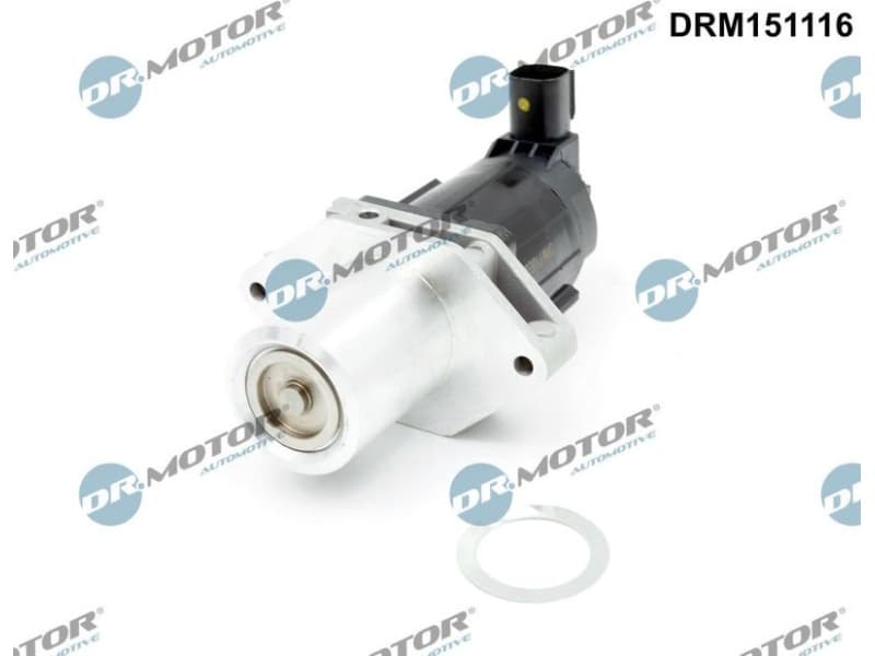 EGR Valve DRM151116