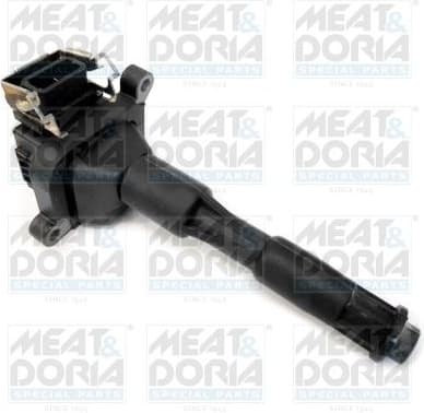 Ignition Coil 10454