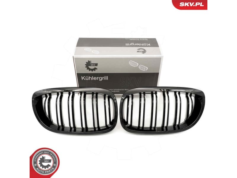 Radiator Grille 66SKV073