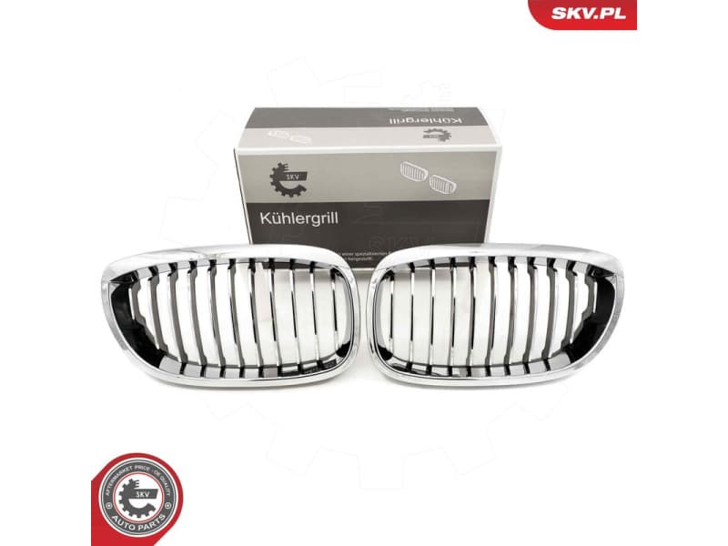 Radiator Grille 66SKV070