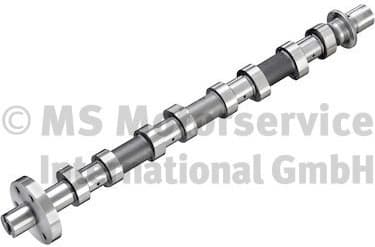 Camshaft 50007939