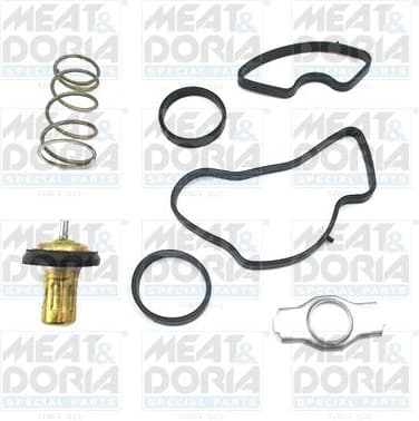 Thermostat, coolant 92871