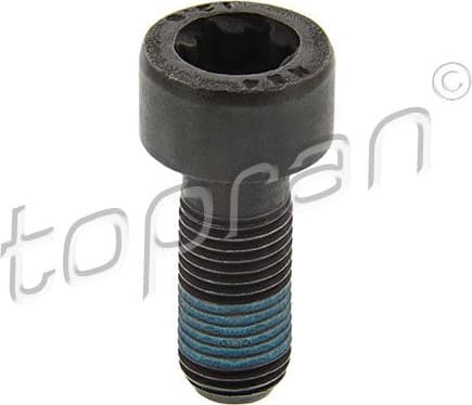 Flywheel Bolt 702162
