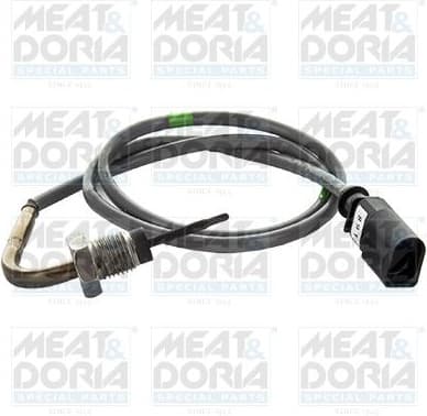 Sensor, exhaust gas temperature 12270