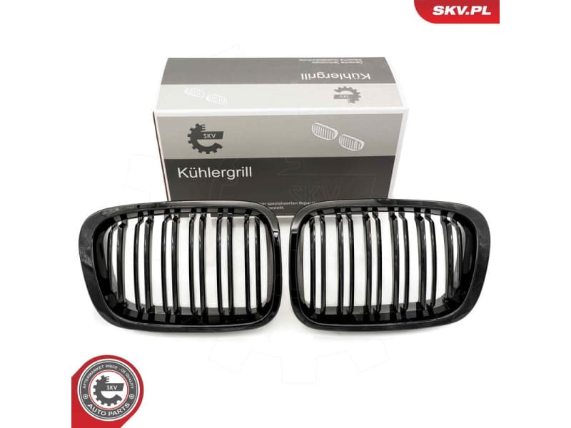 Radiator Grille 66SKV066
