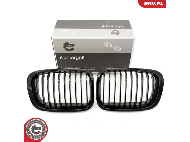 Radiator Grille 66SKV060