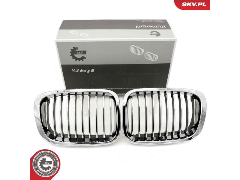 Radiator Grille 66SKV063