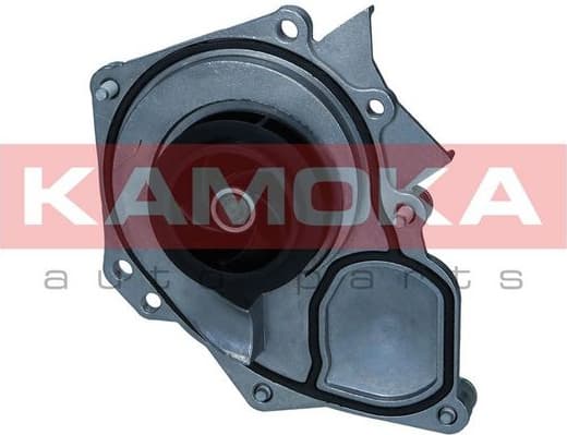 Water Pump, engine cooling T0289
