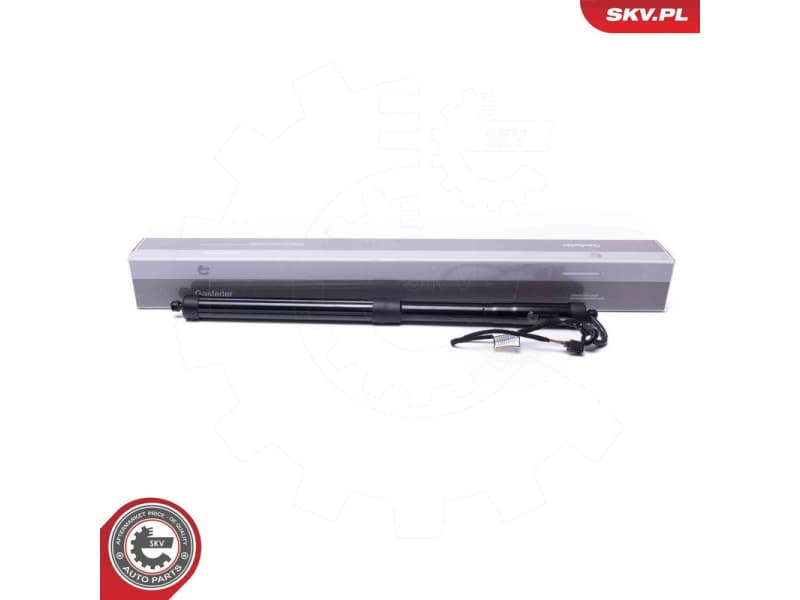 Electric Motor, tailgate 52SKV966