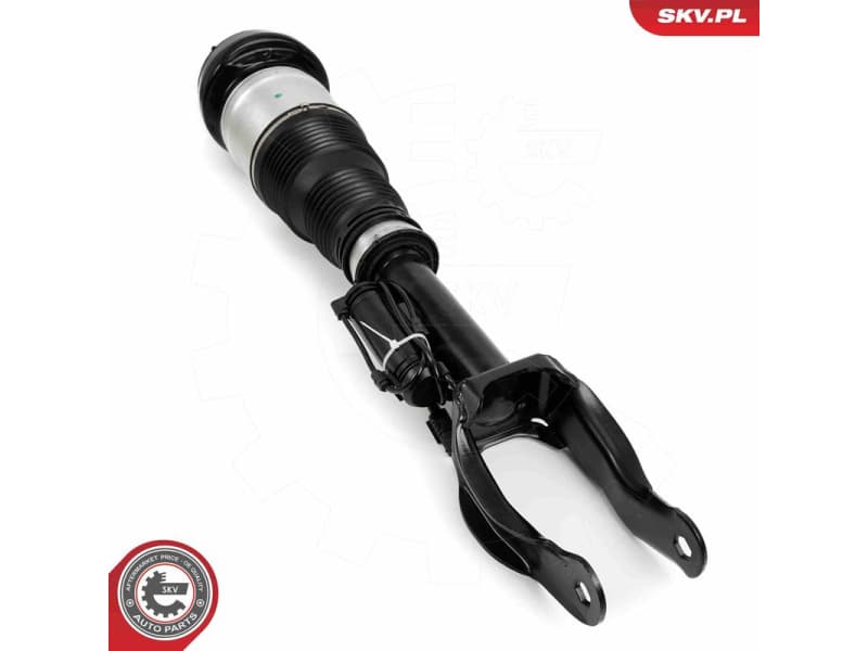 Air Suspension Strut 58SKV716 - image 2