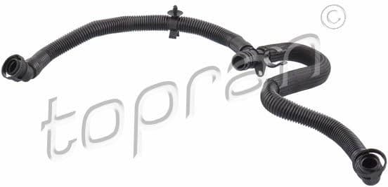 Hose, cylinder head cover ventilation 117 320