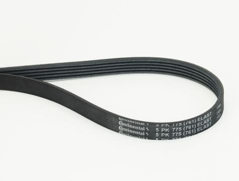 V-ribbed Belt 5PK775 ELAST
