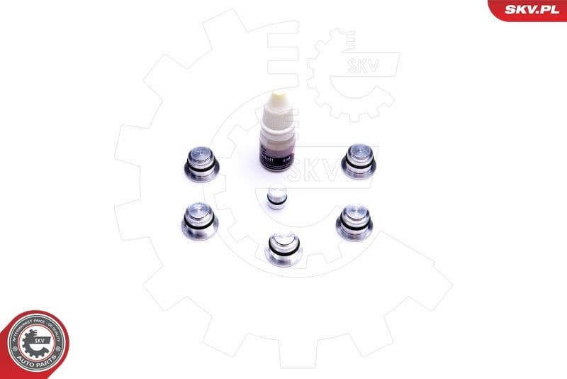 Repair Kit, intake manifold module 49SKV533 - image 2