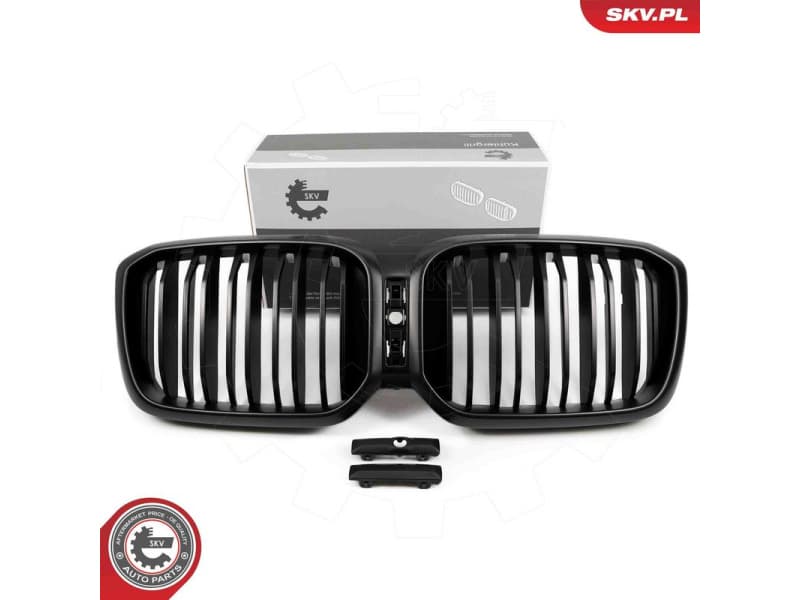 Radiator Grille 66SKV267