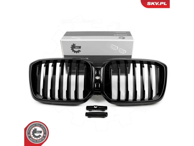 Radiator Grille 66SKV265