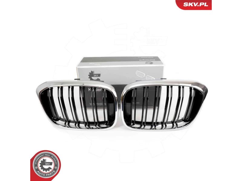 Radiator Grille 66SKV263