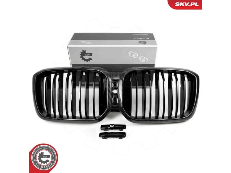 Radiator Grille 66SKV268