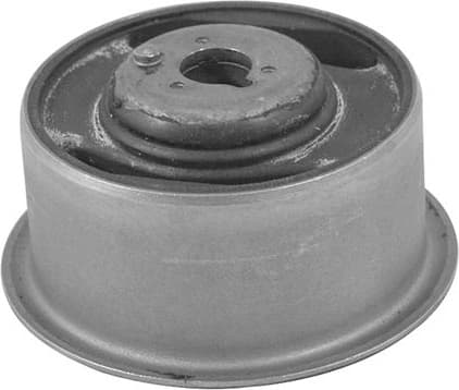 Mounting, differential TED75380