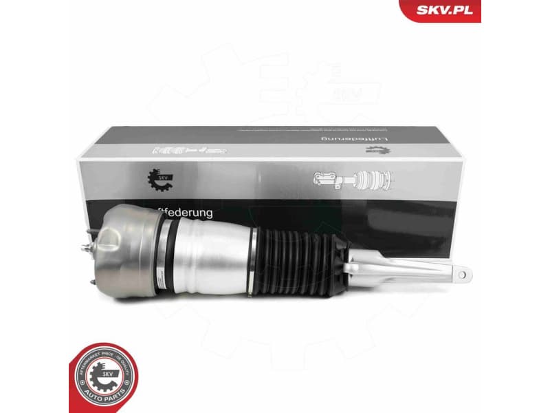 Air Suspension Strut 58SKV705