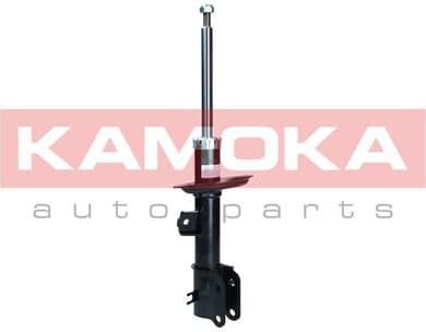 Shock Absorber 2001139