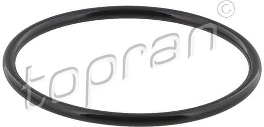 Seal Ring 628 322
