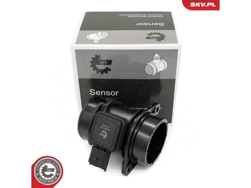 Mass Air Flow Sensor 07SKV185