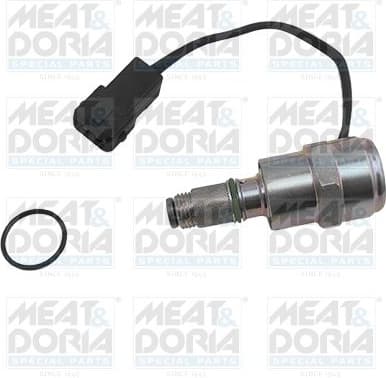 Fuel Cut-off, injection system 9119