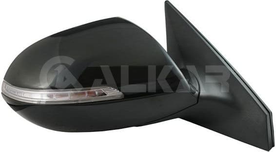Exterior Mirror 6130648