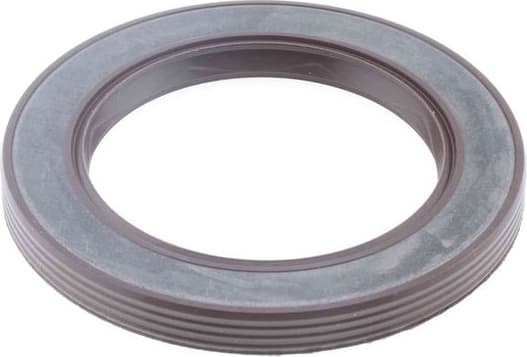 Seal Ring 49125836