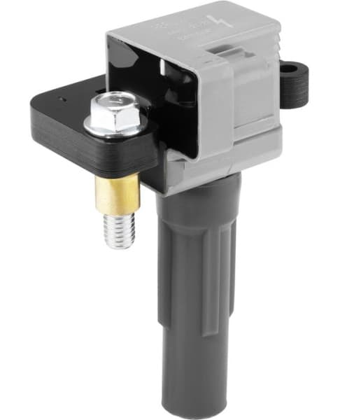 ZSE313 (BorgWarner (BERU))