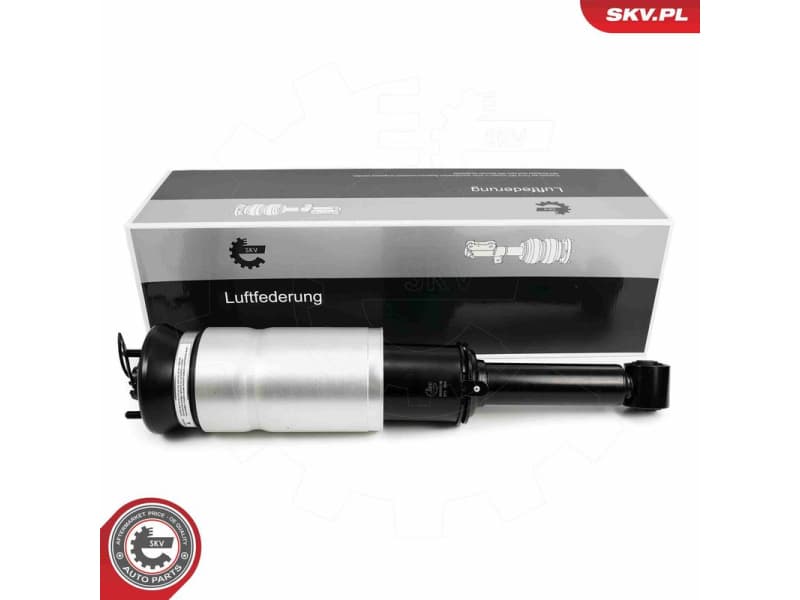 Air Suspension Strut 58SKV712