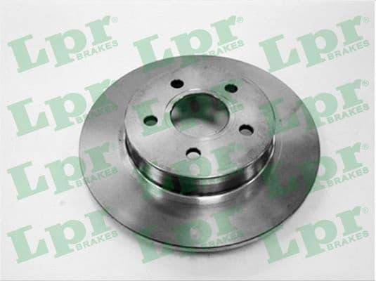 Brake discs kit rear, (2pcs) F1010P