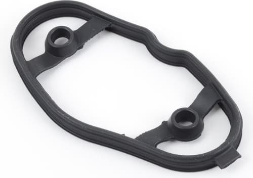 Gasket fuel pump 593.220