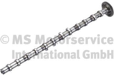 Camshaft 50056025