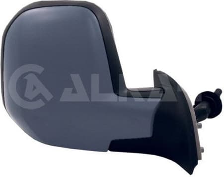 Exterior Mirror 9238998