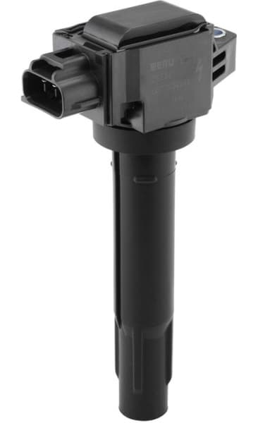 ZSE321 (BorgWarner (BERU))