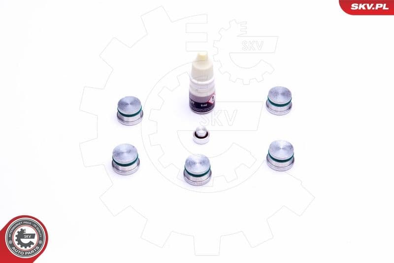 Repair Kit, intake manifold module 49SKV537 - image 2