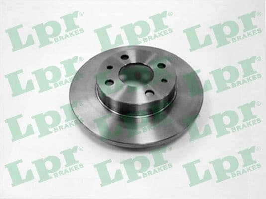 Brake discs kit rear, (2pcs) F2081P