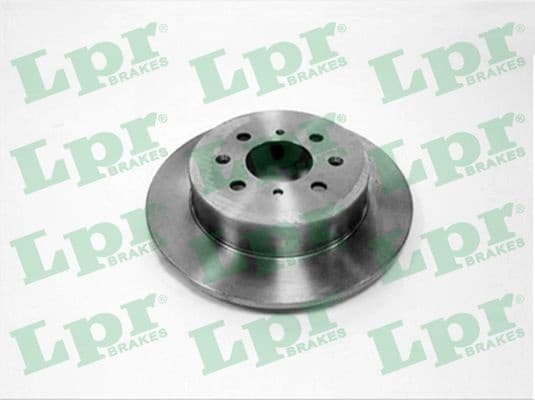 Brake discs kit rear, (2pcs) H1017P