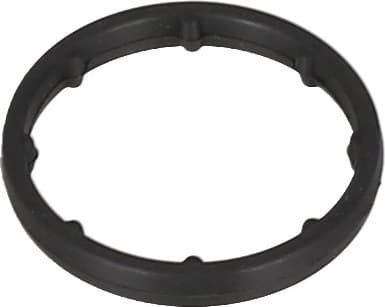 Gasket oil filter flange housing 693.940 - image 2