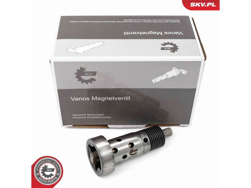 Control Valve, camshaft adjustment 39SKV076