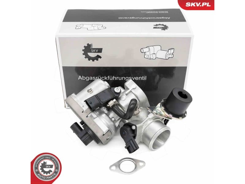 EGR Valve 14SKV256