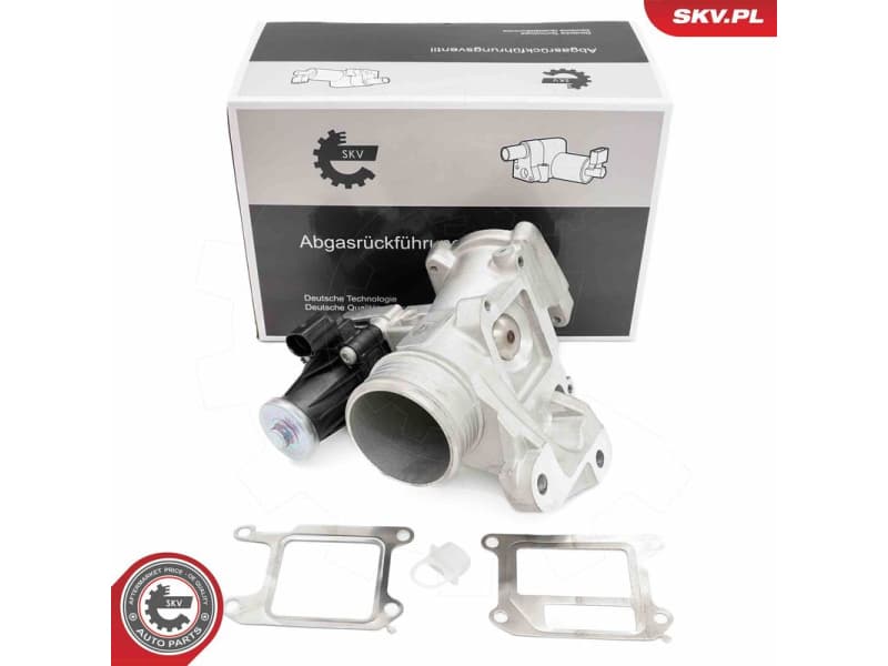 EGR Valve 14SKV264