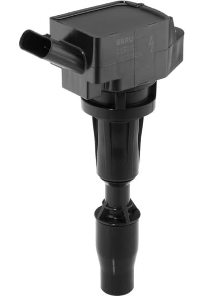 ZSE300 (BorgWarner (BERU))