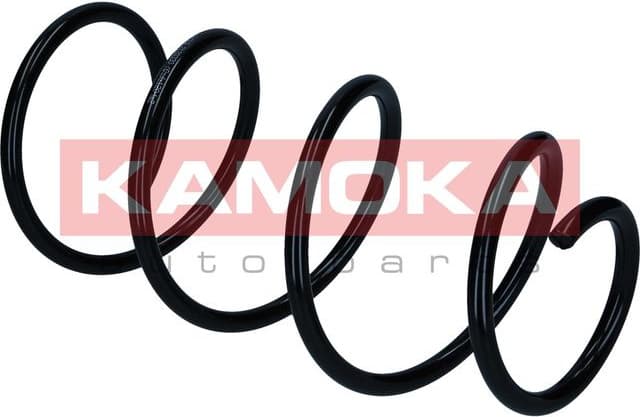 Suspension Spring 2120330